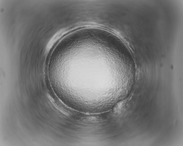 X0000056030151200508221523