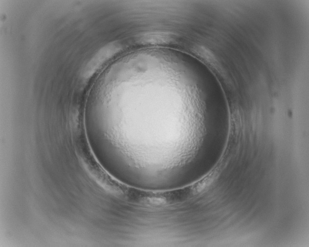 X0000056030159200508221523