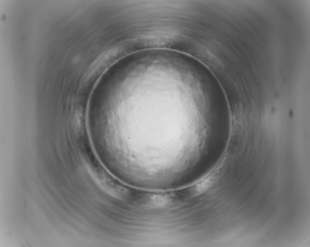 X0000056030166200508221523