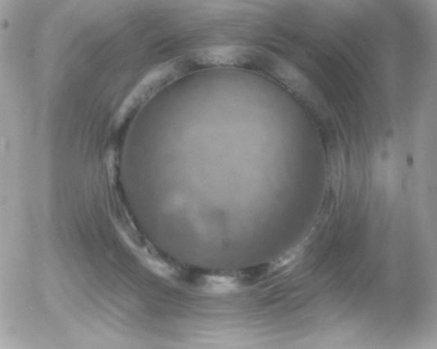 X0000056030167200508221523