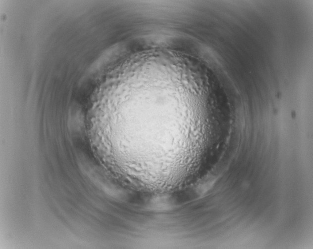 X0000056030173200508221523