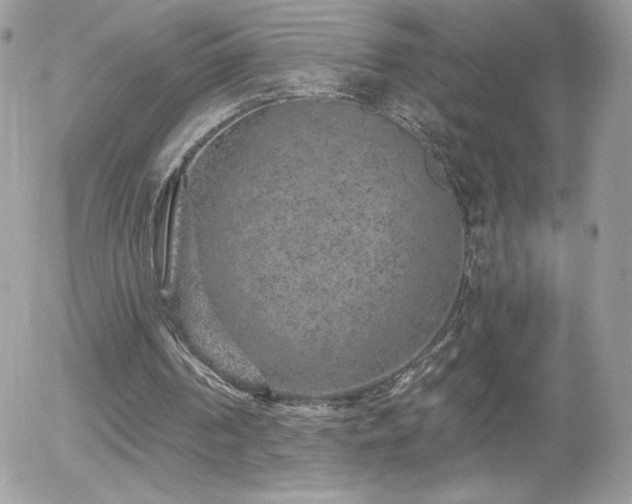 X0000056030194200508221523