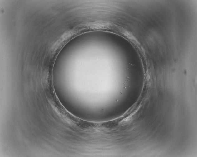 X0000056030201200508221523