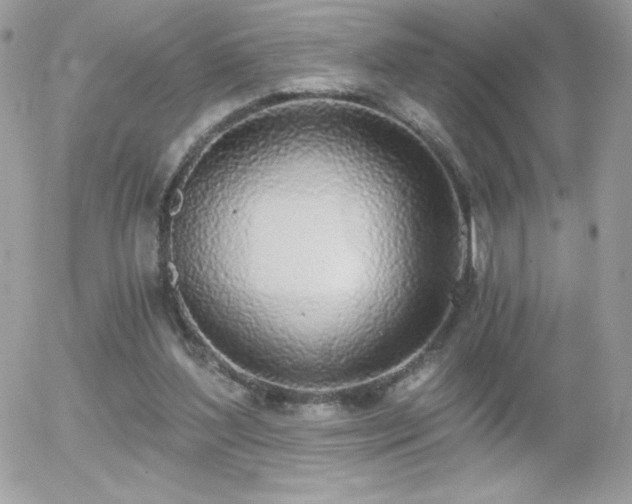 X0000056030204200508221523