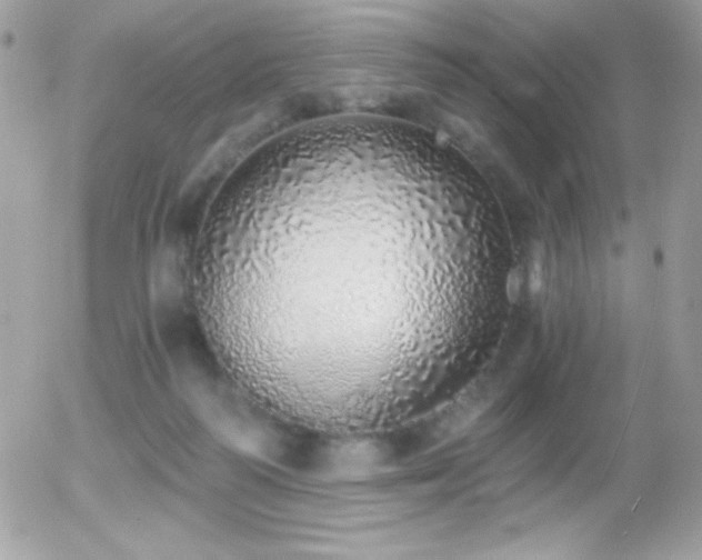 X0000056030218200508221522