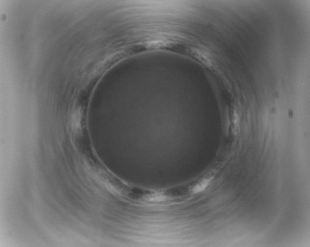 X0000056030219200508221522