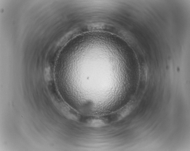 X0000056030224200508221522
