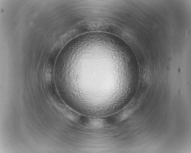 X0000056030226200508221522