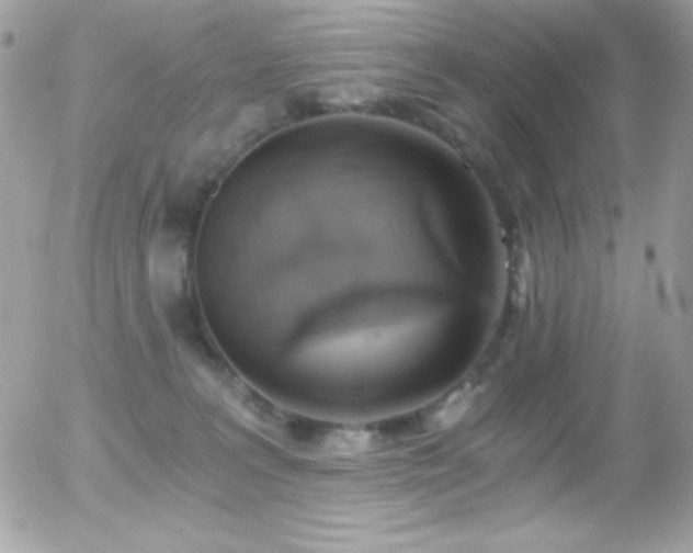 X0000056030227200508221522