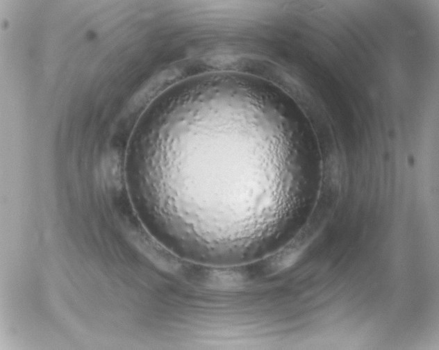 X0000056030234200508221522
