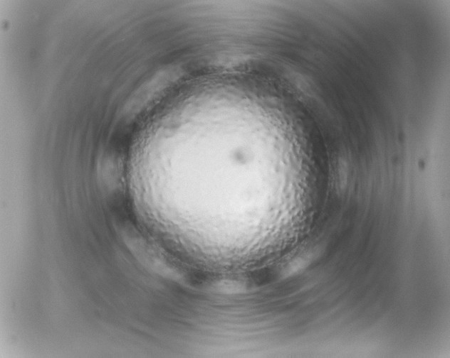 X0000056030236200508221522