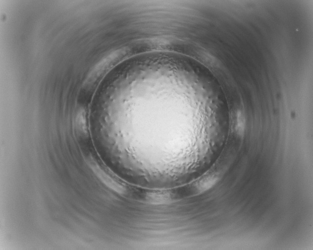 X0000056030238200508221522