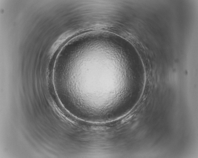 X0000056030242200508221521
