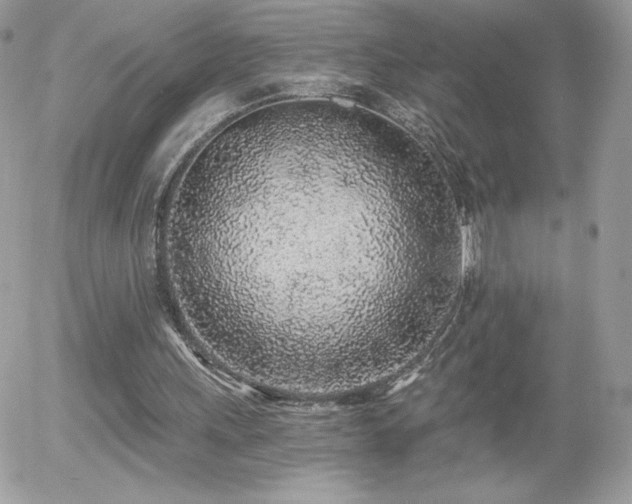 X0000056030243200508221521