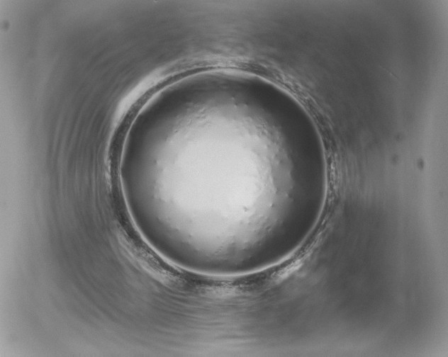 X0000056030246200508221521