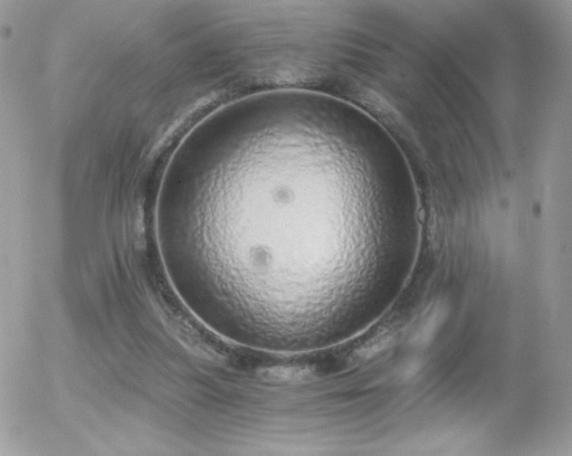 X0000056030251200508221521