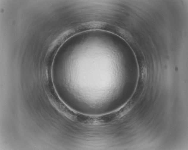X0000056030254200508221521