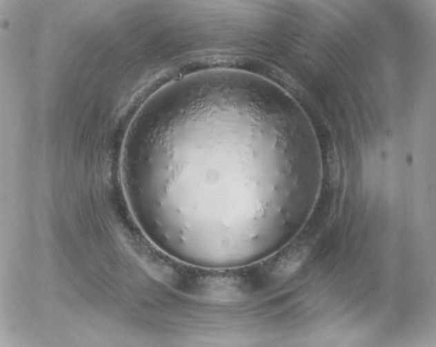 X0000056030255200508221521
