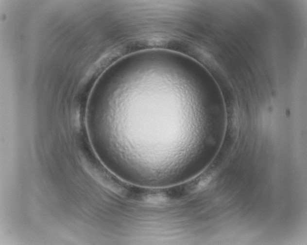 X0000056030262200508221522