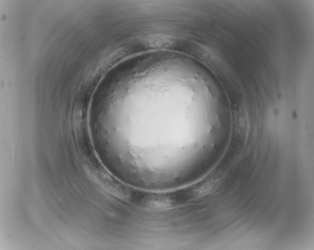 X0000056030263200508221522