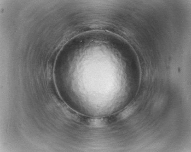 X0000056030273200508221522