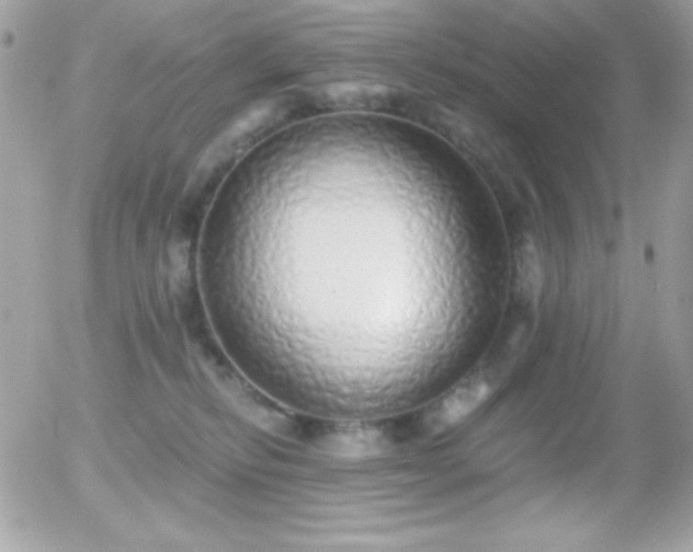 X0000056030278200508221522