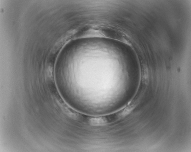 X0000056030281200508221522