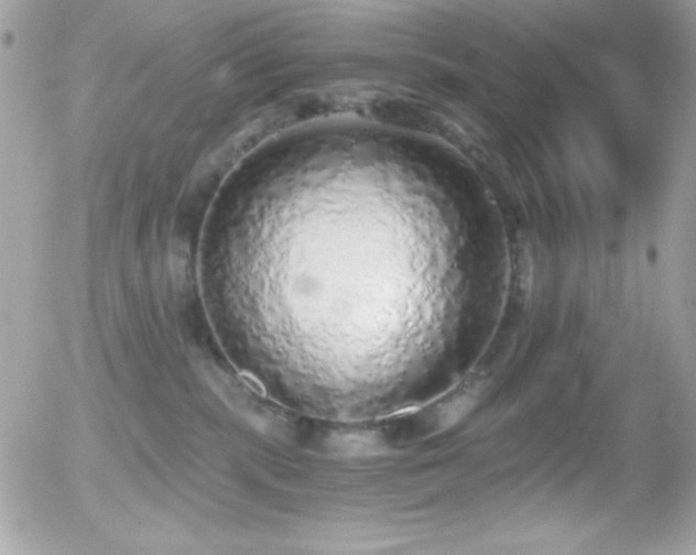 X0000056030283200508221522