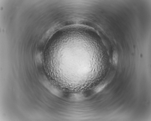 X0000056030286200508221522