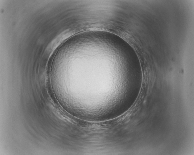 X0000056030290200508221521