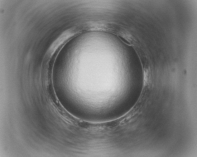 X0000056030291200508221521