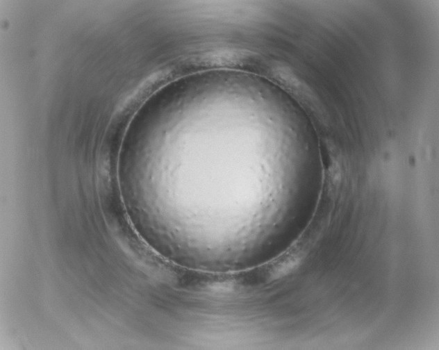 X0000056030306200508221521