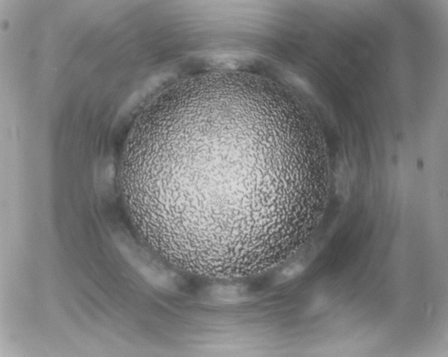 X0000056030314200508221521