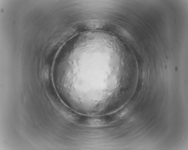 X0000056030315200508221521