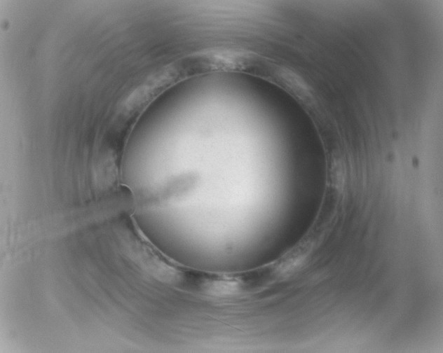 X0000056030318200508221521