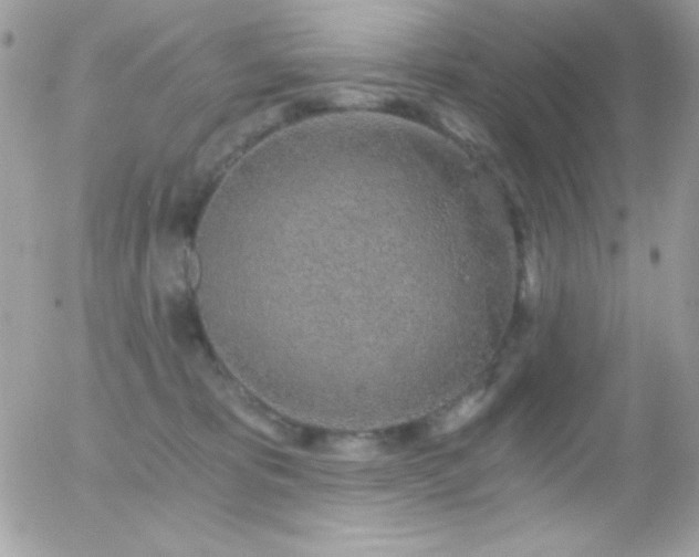 X0000056030325200508221520