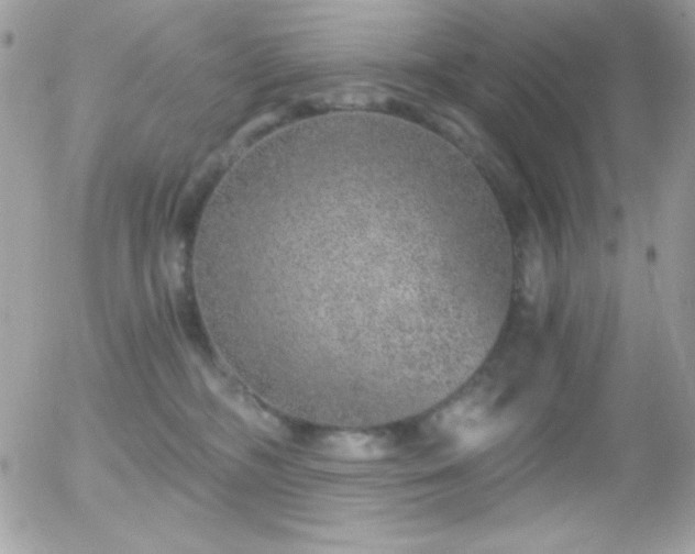 X0000056030326200508221520