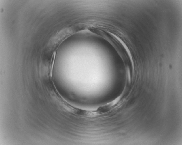 X0000056030333200508221520