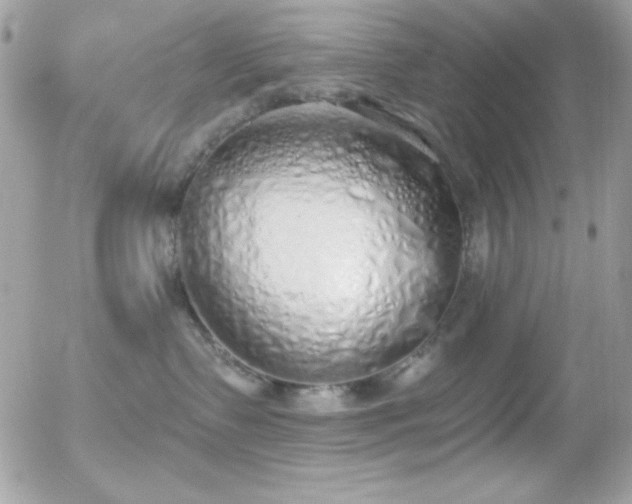X0000056030335200508221520
