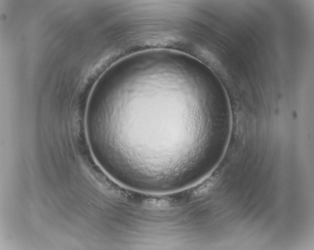 X0000056030354200508221520