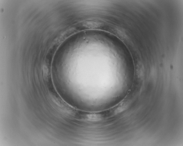 X0000056030371200508221520