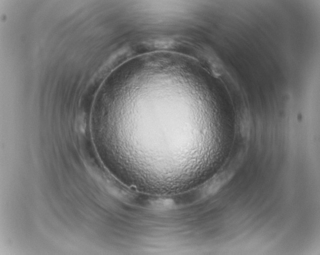 X0000056030374200508221520