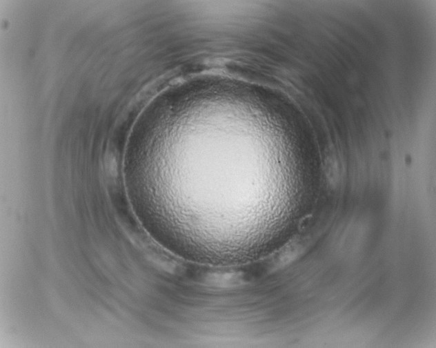 X0000056030375200508221520