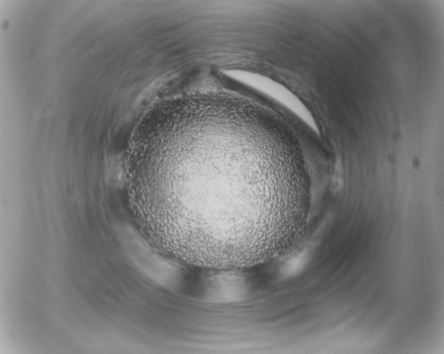 X0000056030383200508221520