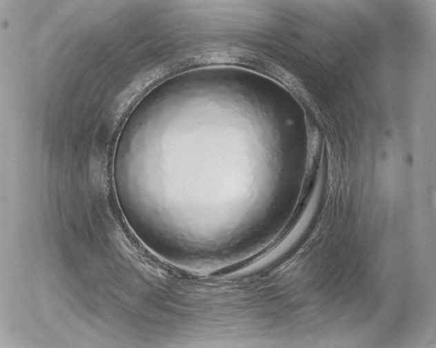 X0000056030386200508221519