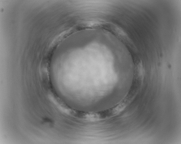 X0000056030415200508221519