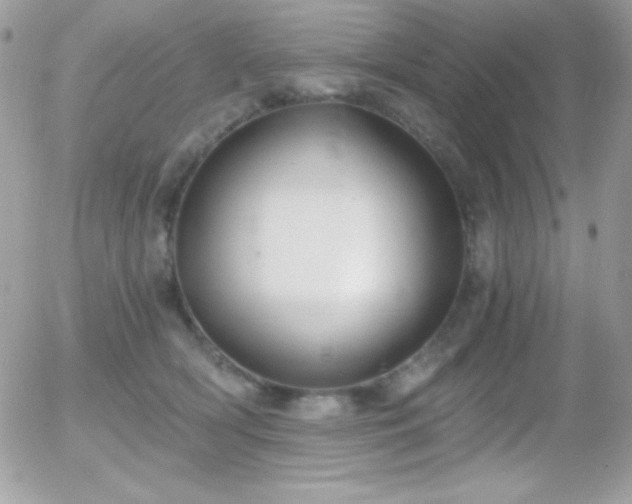 X0000056030418200508221519
