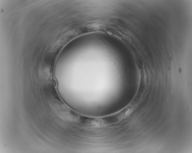 X0000056030420200508221519