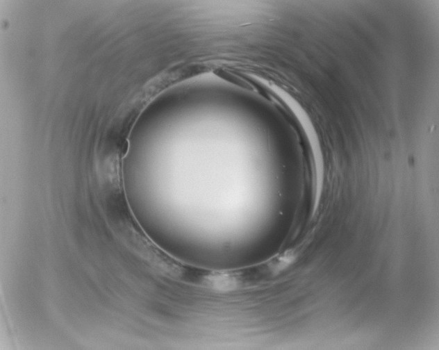 X0000056030425200508221519