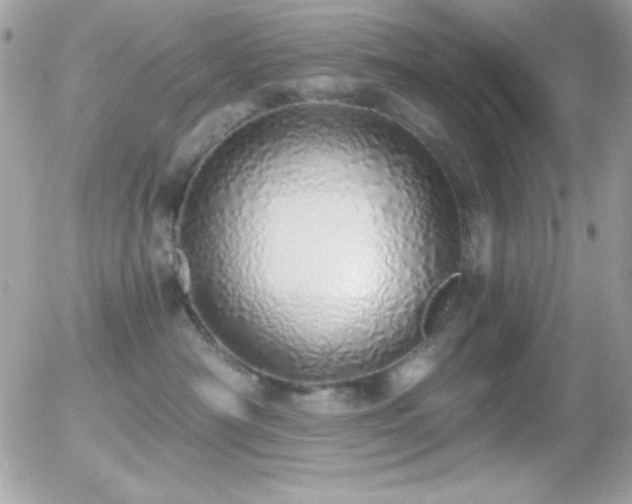 X0000056030430200508221519